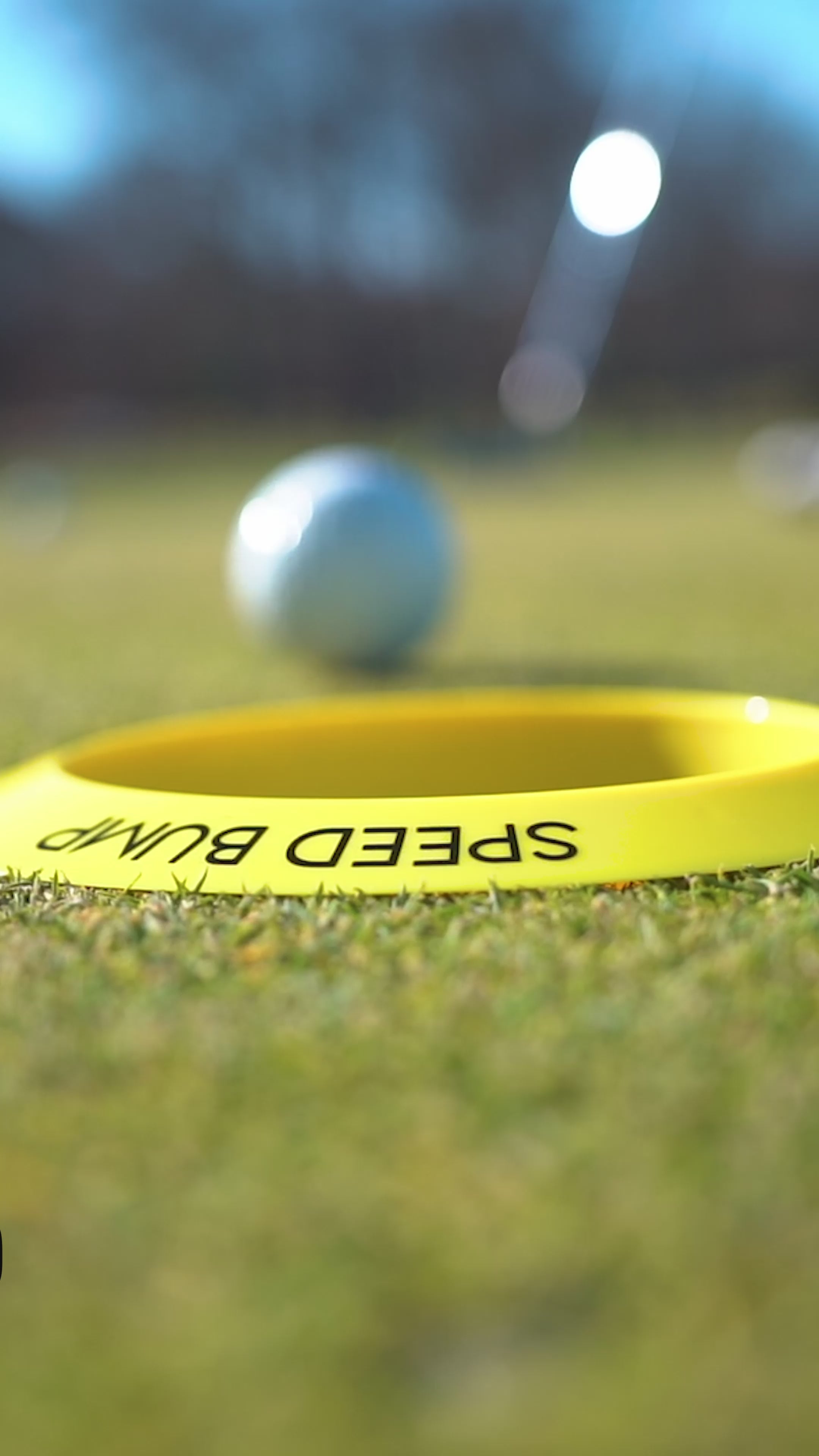 The Speed Bump (Individual)