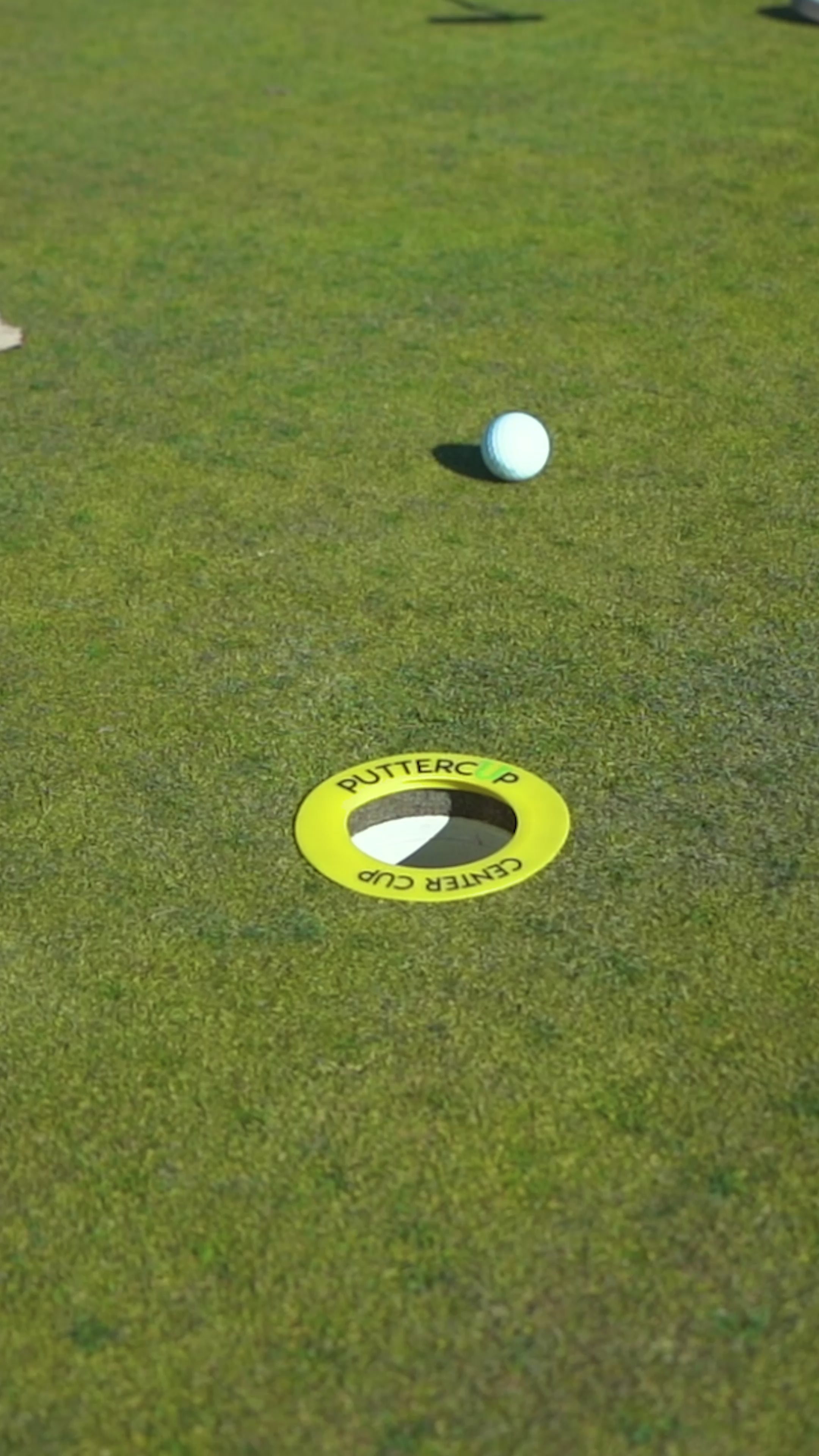 The Practice Green Bundle -- Speed Bump + Center Cup Training Aids