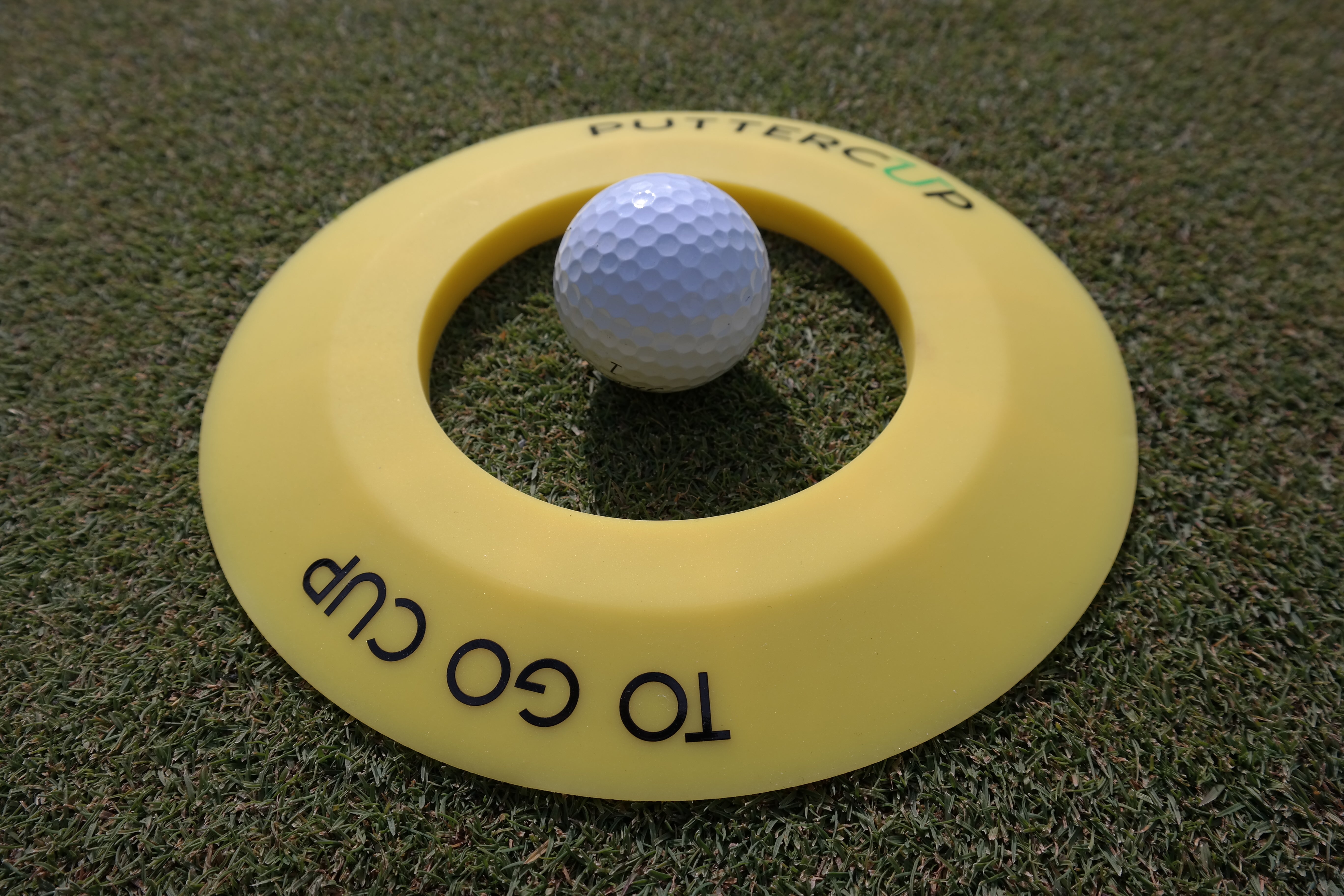 The To Go Cup